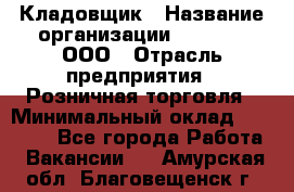 Кладовщик › Название организации ­ O’stin, ООО › Отрасль предприятия ­ Розничная торговля › Минимальный оклад ­ 17 200 - Все города Работа » Вакансии   . Амурская обл.,Благовещенск г.